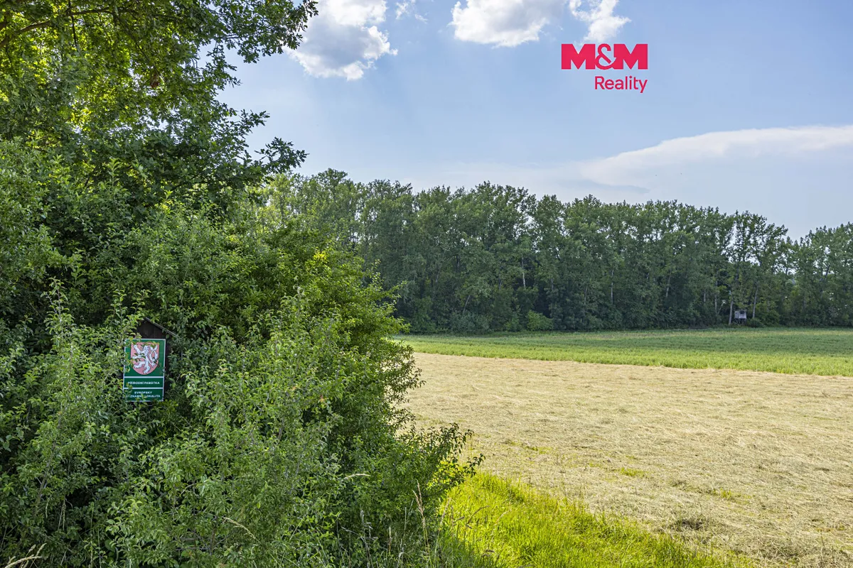 Prodej lesa 11971 m²